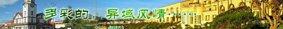首页通栏